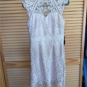 NWT Haute Monde Lace Midi Dress in Light Pink